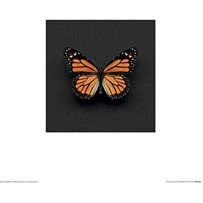 Alyson Fennell Arte Stampe, Multicolore, 30 x 30 cm Alyson Fennell Arte Stampe, Multicolore, 30 x 30 cm
