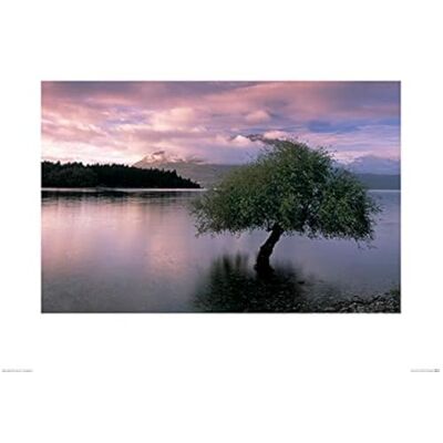 Il Gruppo di Arte Pete Seaward (South Island, Nuova Zelanda) – Stampa Artistica 60 x 80 cm, Carta, Multicolore, 60 x 80 x 1.3 cm Il Gruppo di Arte Pete Seaward (South Island, Nuova Zelanda) – Stampa Artistica 60 x 80 cm, Carta, Multicolore, 60 x 80 x 1.3 cm
