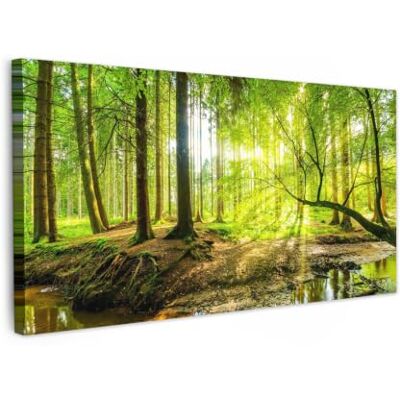 OnlyWow © Quadro da Giardino Foto Stampe Quadretti Grandi Dimensioni Balcone 200x100 cm Telo Terrazzo Pareti Dipinti Murali Foresta Paesaggio Acqua Alberi Sole Verde Natura OnlyWow © Quadro da Giardino Foto Stampe Quadretti Grandi Dimensioni Balcone 200x100 cm Telo Terrazzo Pareti Dipinti Murali Foresta Paesaggio Acqua Alberi Sole Verde Natura