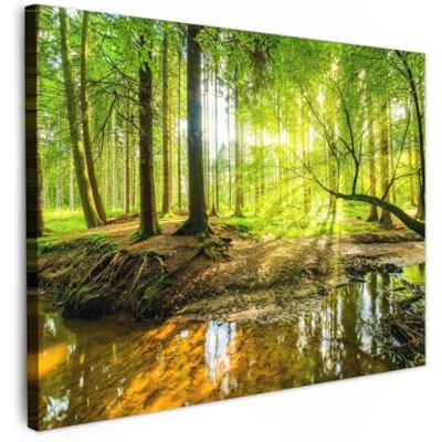 OnlyWow © Quadro da Giardino Foto Stampe Quadretti Grandi Dimensioni Balcone 100x70 cm Telo Terrazzo Pareti Dipinti Murali Foresta Paesaggio Acqua Alberi Sole Verde Natura OnlyWow © Quadro da Giardino Foto Stampe Quadretti Grandi Dimensioni Balcone 100x70 cm Telo Terrazzo Pareti Dipinti Murali Foresta Paesaggio Acqua Alberi Sole Verde Natura