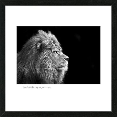 PRO-Art – Quadro Scandic-Living – Living 'Lion' 55 x 55 cm PRO-Art – Quadro Scandic-Living – Living 'Lion' 55 x 55 cm