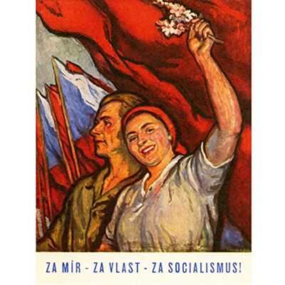 Wee Blue Coo Propaganda politica campagna socialismo bandiera fiore stampa arte poster 30x40 cm 12x16 in Wee Blue Coo Propaganda politica campagna socialismo bandiera fiore stampa arte poster 30x40 cm 12x16 in