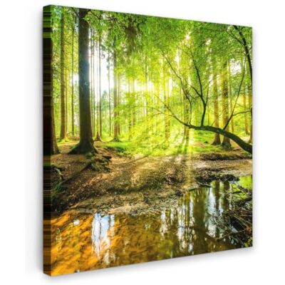 OnlyWow © Quadro da Giardino Foto Stampe Quadretti Grandi Dimensioni Balcone 100x100 cm Telo Terrazzo Pareti Dipinti Murali Foresta Paesaggio Acqua Alberi Sole Verde Natura OnlyWow © Quadro da Giardino Foto Stampe Quadretti Grandi Dimensioni Balcone 100x100 cm Telo Terrazzo Pareti Dipinti Murali Foresta Paesaggio Acqua Alberi Sole Verde Natura