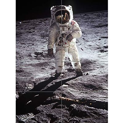 Artery8 Apollo 11 Astronaut Aldrin Armstrong 50th Anniversary Moon Landing XL Giant Panel Poster (8 Sections) Luna Manifesto Artery8 Apollo 11 Astronaut Aldrin Armstrong 50th Anniversary Moon Landing XL Giant Panel Poster (8 Sections) Luna Manifesto