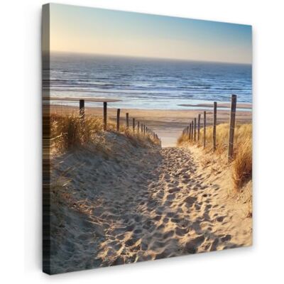 OnlyWow © Quadro da Giardino Foto Stampe Quadretti Grandi Dimensioni Balcone 60x60 cm Telo Terrazzo Pareti Dipinti Murali Spiaggia Mare Paesi Bassi Dune Sole OnlyWow © Quadro da Giardino Foto Stampe Quadretti Grandi Dimensioni Balcone 60x60 cm Telo Terrazzo Pareti Dipinti Murali Spiaggia Mare Paesi Bassi Dune Sole