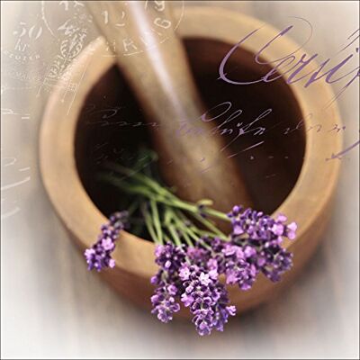 PRO-Art Quadro da Parete su Vetro Lovely Lavender I, 30 x 30 cm PRO-Art Quadro da Parete su Vetro Lovely Lavender I, 30 x 30 cm