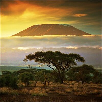 PRO-Art g1672a Decorazione da Parete, Tecnica glicée, 'African Scenery II' 30 x 30 cm, Multicolore, 100 x 100 cm PRO-Art g1672a Decorazione da Parete, Tecnica glicée, 'African Scenery II' 30 x 30 cm, Multicolore, 100 x 100 cm