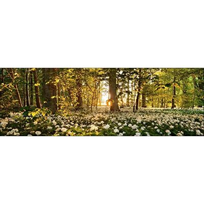 ART Decorazione da Parete Giclée, Materiale: Legno, Multicolore, 90 x 30 cm ART Decorazione da Parete Giclée, Materiale: Legno, Multicolore, 90 x 30 cm