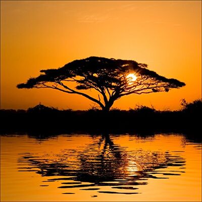 PRO-Art g1671a Decorazione da Parete, Tecnica glicée, 'African Scenery I' 30 x 30 cm, Multicolore, 50 x 50 cm PRO-Art g1671a Decorazione da Parete, Tecnica glicée, 'African Scenery I' 30 x 30 cm, Multicolore, 50 x 50 cm
