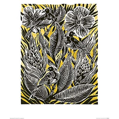ART L' e Gruppo Amanda Colville (Botanical Birds) – Stampe da Parete, Stampa istica 40 x 50 cm, Ca, Multicolore, 40 x 50 x 1.3 cm ART L' e Gruppo Amanda Colville (Botanical Birds) – Stampe da Parete, Stampa istica 40 x 50 cm, Ca, Multicolore, 40 x 50 x 1.3 cm