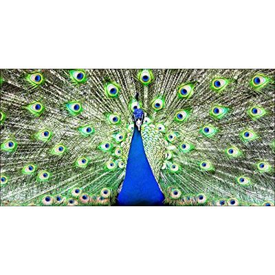 ART Decorazione da Parete Giclée, Legno ingegnerizzato, Multicolore, 100 x 50 cm ART Decorazione da Parete Giclée, Legno ingegnerizzato, Multicolore, 100 x 50 cm