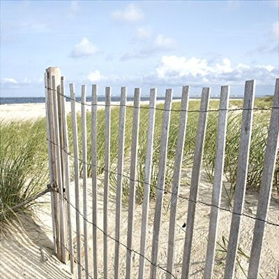PRO-Art Quadro da Parete su Vetro Sand Sedge II, 50 x 50 cm PRO-Art Quadro da Parete su Vetro Sand Sedge II, 50 x 50 cm