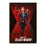 Grupo Erik : Poster Marvel Black Widow   Poster da parete Marvel, Black Widow 61x91,5cm, carta lucida   Poster da muro, incorniciabile   Poster Marvel Avengers, Poster Marvel, Poster Supereroi