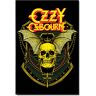 Grupo Erik : Poster Ozzy Osbourne Osbourne Skull   Poster da parete Ozzy Osbourne, 61 x 91,5 cm, Poster da muro con carta lucida e incorniciabile, Ozzy Osbourne Gadget