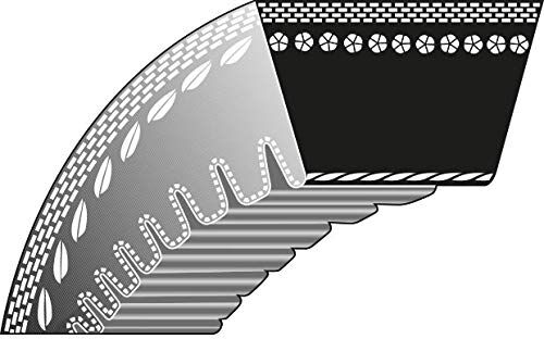 Ratioparts Cinghia trapezoidale tipo 3-8.00 x 800.00 La