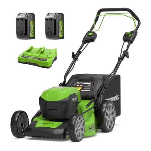 GreenWorks 48V (2x24V) Tagliaerba Semovente a Batteria per Prati Fino a 480m², Ampiezza di taglio 46cm, CON Due Batterie 4Ah e Caricabatterie Doppio GD24X2LM46SPK4X