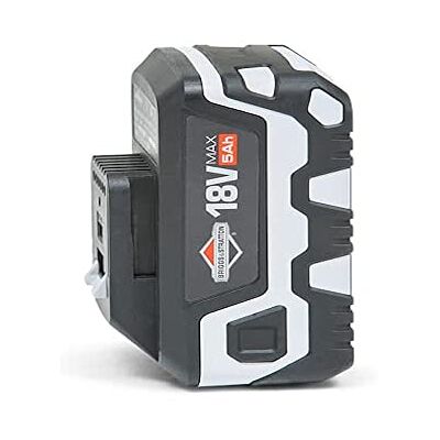 Briggs & Stratton Batteria agli ioni di litio da 18 V 5,0 Ah per Murray, Sprint 18 V, con porta USB, 1697533 Briggs & Stratton Batteria agli ioni di litio da 18 V 5,0 Ah per Murray, Sprint 18 V, con porta USB, 1697533