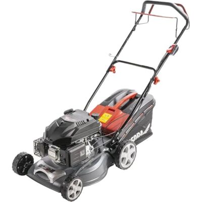 Dedra Tosaerba a benzina con azionamento 2,7 kW, 139 cc, larghezza di taglio 43 cm, Garden , con trazione ruota, regolazione centrale dell'altezza di taglio (25-75 mm), copertura in metallo Dedra Tosaerba a benzina con azionamento 2,7 kW, 139 cc, larghezza di taglio 43 cm, Garden , con trazione ruota, regolazione centrale dell'altezza di taglio (25-75 mm), copertura in metallo