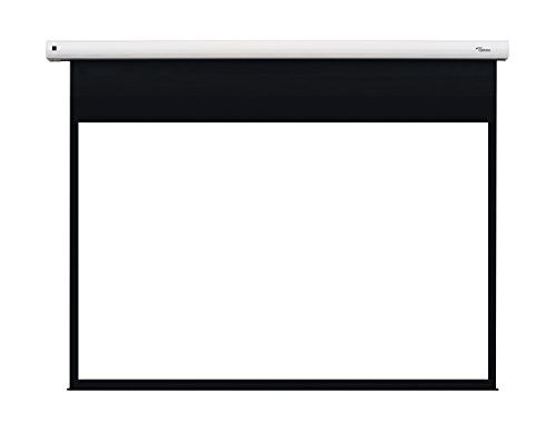 Optoma DE-1109EGA schermo per proiettore Bianco 2,77 m 109" 16:10