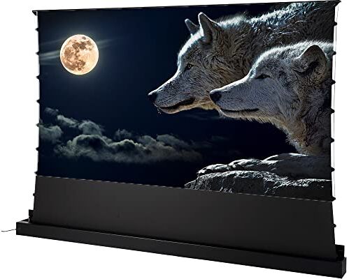 celexon UST Hochkontrast Bodenscheren Leinwand HomeCinema Plus, 100' schwarz