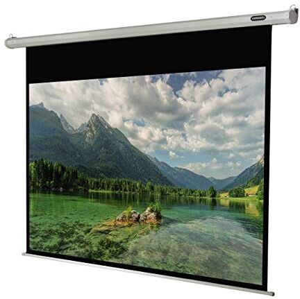 celexon Economy Schermo motorizzato da proiezione, formato 16:9, adatto al montaggio a parete e a soffitto, 220 x 124 cm