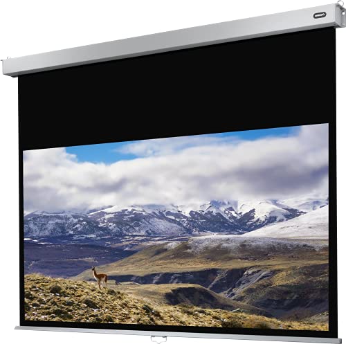 celexon Schermo di proiezione manuale 4K e FullHD con ritorno Lento della Tela per scuole, Aziende e Home Theater Pro Plus 220 x 124 cm 16:9 Guadagno 1,2