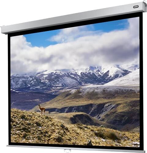 celexon Schermo di Proiezione Manuale 4K e FullHD con Ritorno Lento della Tela per Scuole, Aziende e Home Cinema Pro Plus 280 x 210cm 4:3 Guadagno 1,2-140" Pollici