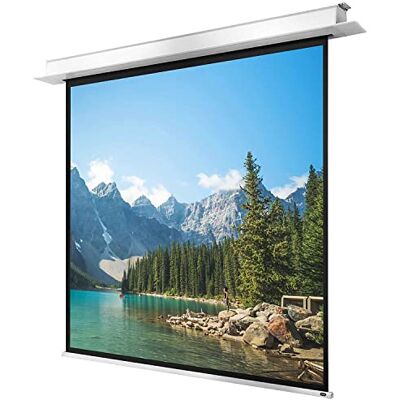 celexon Deckeneinbau Motor Pro Plus 160 x 120 cm celexon Deckeneinbau Motor Pro Plus 160 x 120 cm