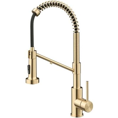 Kraus Bolden Rubinetto da cucina 2 in 1 per filtro dell'acqua a osmosi inversa o sistema di filtraggio dell'acqua in bronzo champagne antico senza macchie, modello 2 in 1 Kraus Bolden Rubinetto da cucina 2 in 1 per filtro dell'acqua a osmosi inversa o sistema di filtraggio dell'acqua in bronzo champagne antico senza macchie, modello 2 in 1