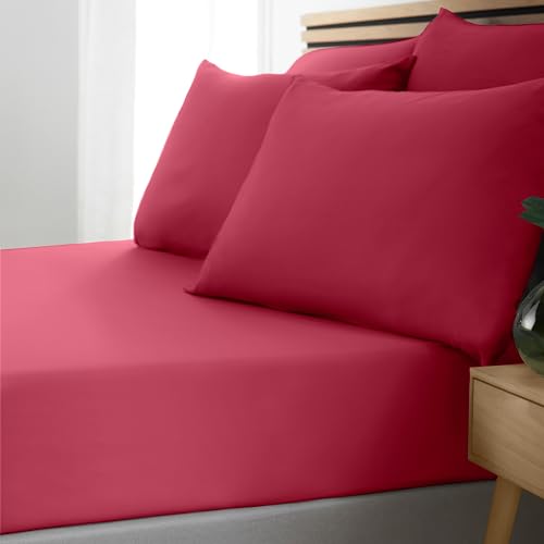 Catherine Lansfield So Soft Easy Iron Lenzuolo con angoli, per letto matrimoniale, colore: Rosa acceso