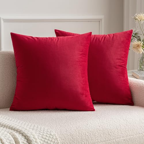 MIULEE Cuscini Arredo Divano Copricuscini Camera da Letto Federe Arredamento Casa Moderni Elegante Morbido Resistente in Velluto con la Cerniera Invisibile 2 Pezzi 35X35 CM Rosso Brillante