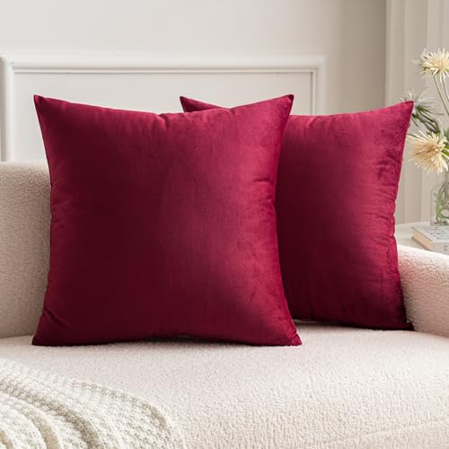 MIULEE Cuscini Arredo Divano Copricuscini Camera da Letto Federe Arredamento Casa Moderni Elegante Morbido Resistente in Velluto con la Cerniera Invisibile 2 Pezzi 35X35 CM Vino Rosso