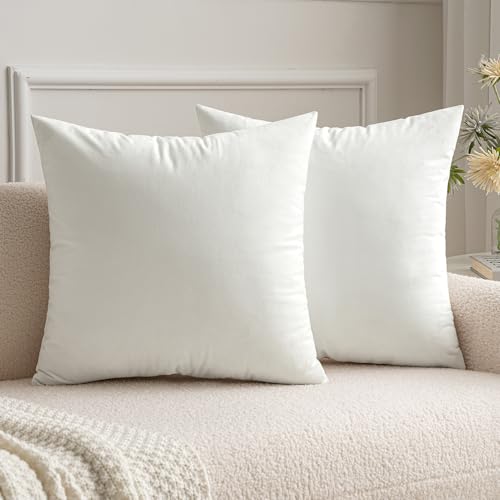 MIULEE Cuscini Arredo Divano Copricuscini Camera da Letto Federe Arredamento Casa Moderni Elegante Morbido Resistente in Velluto con la Cerniera Invisibile 2 Pezzi 30X30 CM Bianco Puro