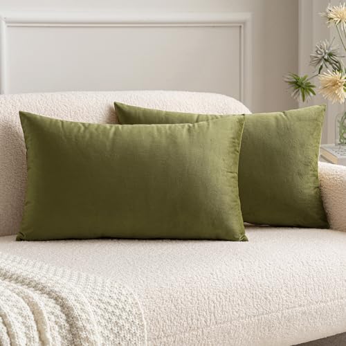 MIULEE Copricuscini Divano Camera da Letto Cuscini Arredo Fodere Arredamento Casa Federe Moderni Elegante Morbido Resistente in Velluto con la Cerniera Invisibile 2 Pezzi 30X50 CM Verde Militare