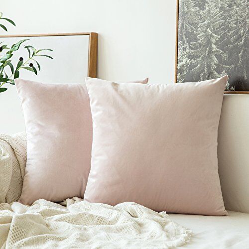 MIULEE Copricuscini Divano Camera da Letto Cuscini Arredo Fodere Arredamento Casa Federe Moderni Elegante Morbido Resistente in Velluto con la Cerniera Invisibile 2 Pezzi 55X55 CM Rosa