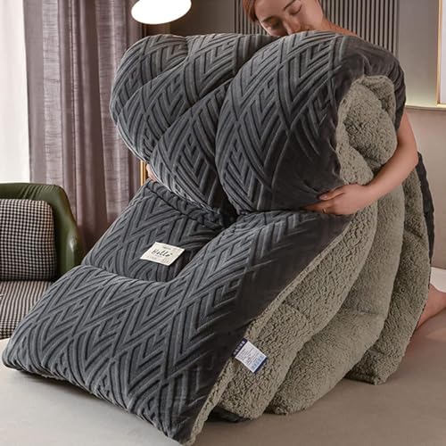 UIHECTA Trapunta Invernale, Coperta Invernale Trapuntata Di Agnello Super Calda, Soffice Coperta Di Velluto Peluche, Nucleo Piumino Addensato Su Due Lati, Per Clima Freddo,006,180×220cm(3.5kg)