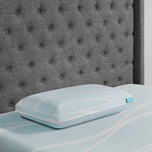 TEMPUR -PEDIC Cuscino in memory foam, bianco, Queen (confezione da 1)