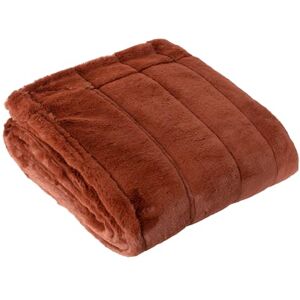 Paoletti Empress Coperta in Pelliccia Sintetica – Morbida ed Elegante Coperta dall'Arredamento Minimalista per Letto o Divano (Ruggine 140x200cm) Paoletti Empress Coperta in Pelliccia Sintetica – Morbida ed Elegante Coperta dall'Arredamento Minimalista per Letto o Divano (Ruggine 140x200cm)