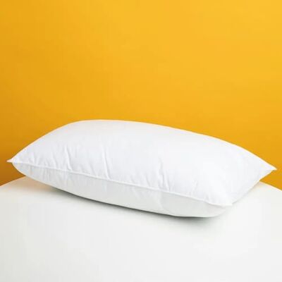 Gabel Guanciale Aloe 24108 Letto 50x80 cm in Microfibra con Imbottitura Anallergica Gabel Guanciale Aloe 24108 Letto 50x80 cm in Microfibra con Imbottitura Anallergica