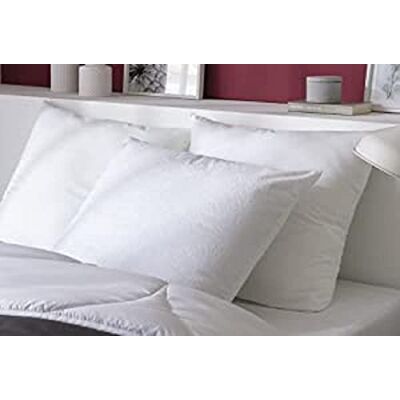Abeil Set di 2 cuscini da 60 x 60 cm, con protezione cuscini Biome Abeil Set di 2 cuscini da 60 x 60 cm, con protezione cuscini Biome