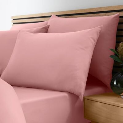 Catherine Lansfield So Soft Lenzuolo con angoli, per letto singolo, non si stir Catherine Lansfield So Soft Lenzuolo con angoli, per letto singolo, non si stir