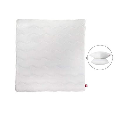 Abeil Kit Ecologico Piumino 220 x 240 cm e 2 cuscini 60 x 60 cm Abeil Kit Ecologico Piumino 220 x 240 cm e 2 cuscini 60 x 60 cm