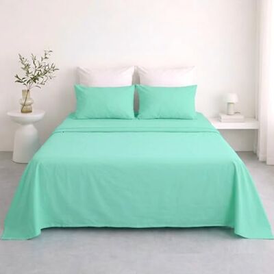 Ruggeri Completo Letto 100% Morbida Microfibra di Alta Qualità 2 Federe 50x80cm + 1 Lenzuolo con Angoli 170x200cm + 1 Lenzuolo Sopra 240x280cm Collezione Beat (Verde Menta, Matrimoniale) Ruggeri Completo Letto 100% Morbida Microfibra di Alta Qualità 2 Federe 50x80cm + 1 Lenzuolo con Angoli 170x200cm + 1 Lenzuolo Sopra 240x280cm Collezione Beat (Verde Menta, Matrimoniale)