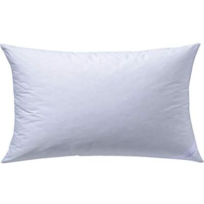 Billerbeck S 28 Cuscino in Fibra con Aloe Vera, 40x80 cm, Colore: Bianco Billerbeck S 28 Cuscino in Fibra con Aloe Vera, 40x80 cm, Colore: Bianco