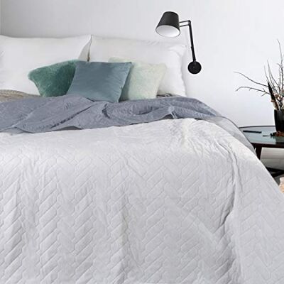 Eurofirany Luiz Copriletto reversibile o copriletto, in velluto, morbido, trapunta, 70 x 160 cm, 170 x 210 cm, 220 x 240 cm, federe coordinate (bianco + argento, 170 x 210 cm) Eurofirany Luiz Copriletto reversibile o copriletto, in velluto, morbido, trapunta, 70 x 160 cm, 170 x 210 cm, 220 x 240 cm, federe coordinate (bianco + argento, 170 x 210 cm)