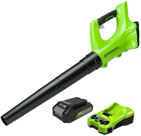 GreenWorks Soffiatore Foglie Assiale a Batteria, 156km/h, 4,27m³/min, Batteria 24V 2Ah e Caricabatterie, Garanzia 3 Anni