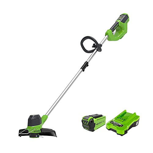 GreenWorks 40V Tagliabordi a Batteria per Giardini Medi, Altezza Regolabile, Ampiezza di Taglio 30cm, Filo di Nylon da 1,65mm con Autofeed, Batteria 40V 2Ah e Caricabatterie, Garanzia 3 Anni G40LTK2