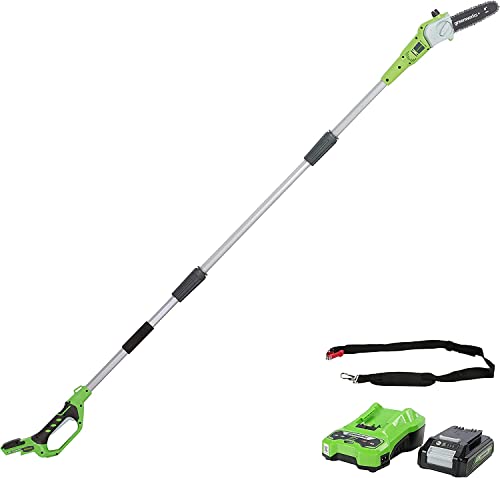 GreenWorks Sega Potatrice telescopico a Batteria, Lunghezza Barra 8 Pollice (20cm), Velocità Catena 6,7m/s, 3,2kg, Asta 2,6m, Batteria 24V 2Ah e Caricabatterie, Garanzia 3 Anni