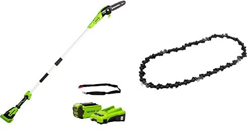 GreenWorks G40PSFK2 Sega ad Asta a Batteria, Lunghezza Barra 20cm, Velocità Catena 8m/s, 3,64kg, Auto-Lubrificante, Serbatoio Olio 80ml, Asta 2.58m & Catena per Motosega