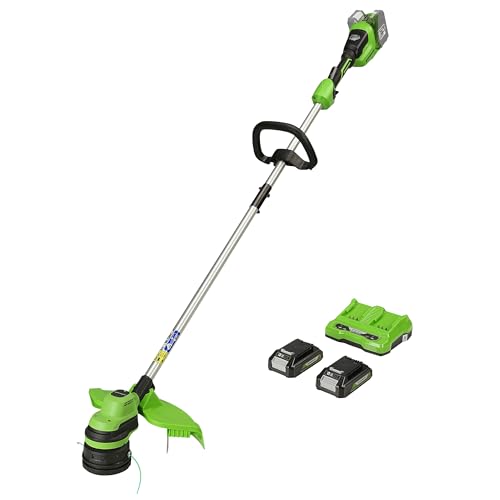 GreenWorks Tools Tagliabordi A Batteria 48 V, 2 X 24 V, Taglio 33 Cm, Con Due Batterie 2Ah E Caricatore, Nero Verde